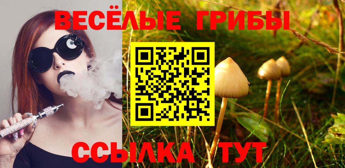Аргун  Псилоцибиновые грибы GOLDEN TEACHER  Вход с VPN 