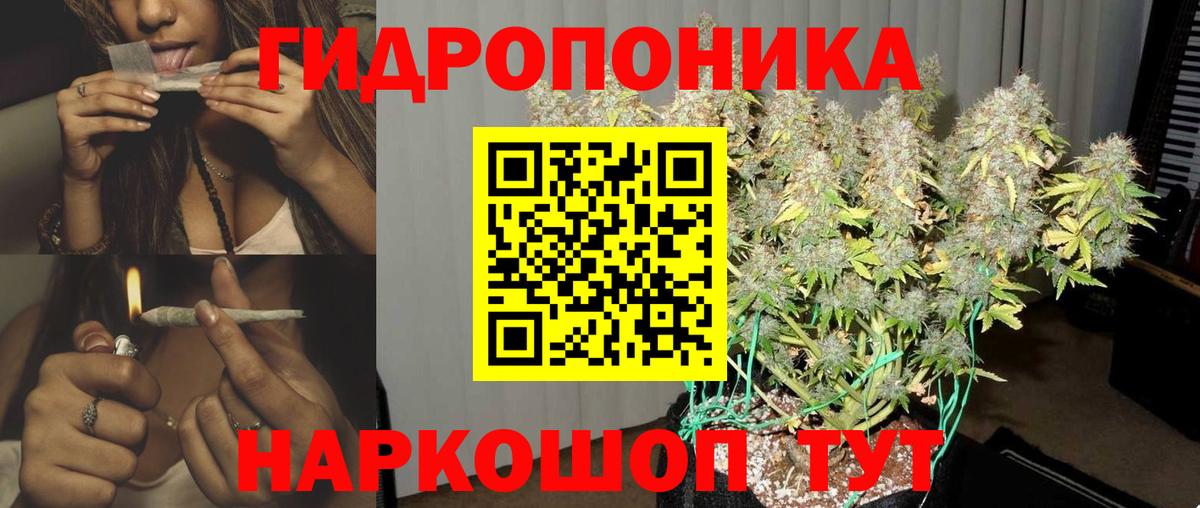Шишки марихуана планчик Аргун